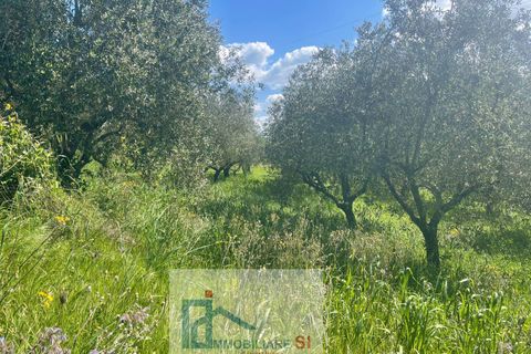 Helårsgrund i Benevento, Benevento, Benevento - € 65.000 | Ref: SI229 - foto 24