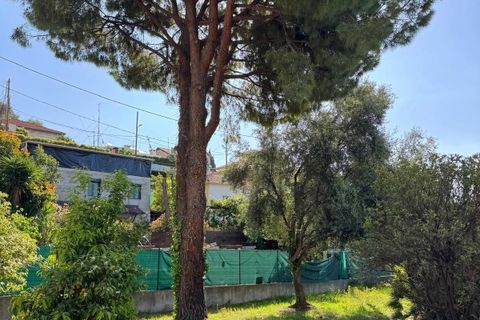 Villa - Nice, Alpes-Maritimes, Nice - € 759 000 | Réf : 86669049 - photo 13