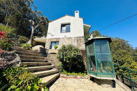 Villa a Viana do Castelo, Viana do Castelo, Viana do Castelo - € 1.650/mes | Ref: G953 - foto 4