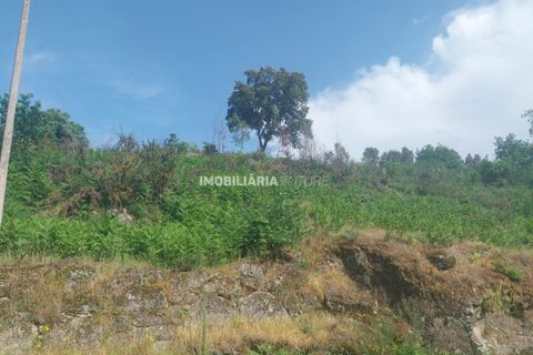 Helårsgrund i Baiao, Porto, Baiao - € 61.000 | Ref: MF0/116 - foto 2