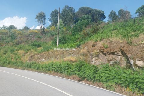 Helårsgrund i Baiao, Porto, Baiao - € 61.000 | Ref: MF0/116 - foto 3