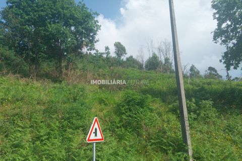 Helårsgrund i Baiao, Porto, Baiao - € 61.000 | Ref: MF0/116 - foto 4