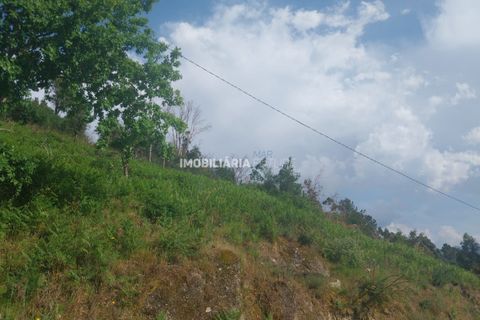 Helårsgrund i Baiao, Porto, Baiao - € 61.000 | Ref: MF0/116 - foto 5