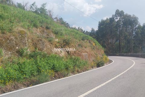 Helårsgrund i Baiao, Porto, Baiao - € 61.000 | Ref: MF0/116 - foto 6