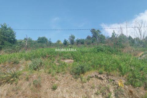 Helårsgrund i Baiao, Porto, Baiao - € 61.000 | Ref: MF0/116 - foto 7