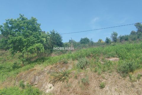 Helårsgrund i Baiao, Porto, Baiao - € 61.000 | Ref: MF0/116 - foto 8