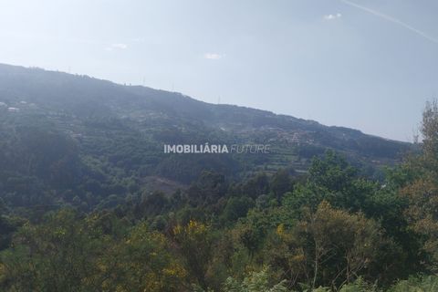 Helårsgrund i Baiao, Porto, Baiao - € 61.000 | Ref: MF0/116 - foto 9