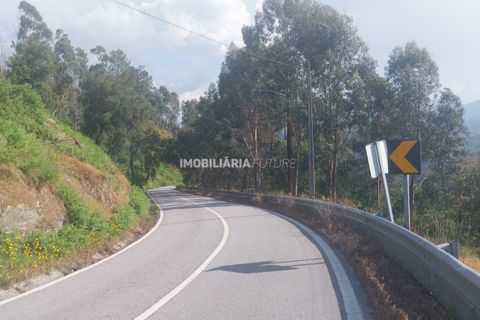 Helårsgrund i Baiao, Porto, Baiao - € 61.000 | Ref: MF0/116 - foto 10