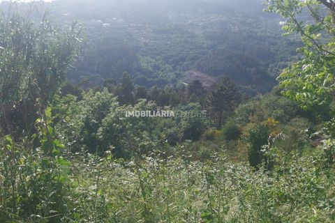 Helårsgrund i Baiao, Porto, Baiao - € 51.000 | Ref: MF0/117 - foto 3