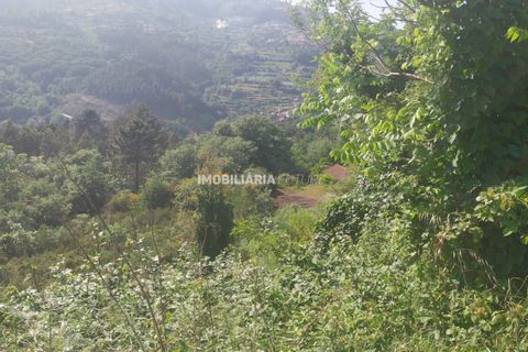 Helårsgrund i Baiao, Porto, Baiao - € 51.000 | Ref: MF0/117 - foto 4