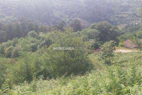 Helårsgrund i Baiao, Porto, Baiao - € 51.000 | Ref: MF0/117 - foto 6