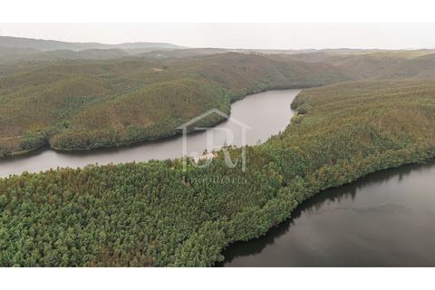 Farm i Penacova, Coimbra, Penacova - € 1.650.000 | Ref: JR229/26 - foto 2