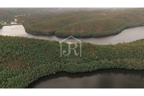 Farm i Penacova, Coimbra, Penacova - € 1.650.000 | Ref: JR229/26 - foto 4