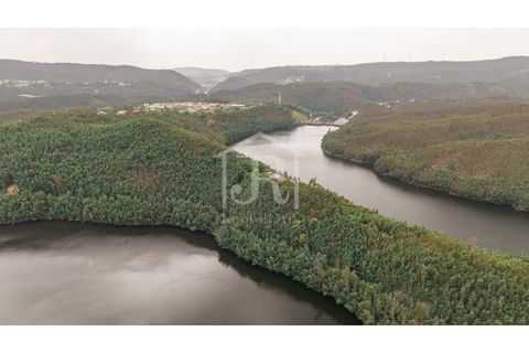 Farm i Penacova, Coimbra, Penacova - € 1.650.000 | Ref: JR229/26 - foto 5