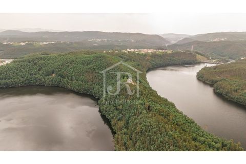 Farm i Penacova, Coimbra, Penacova - € 1.650.000 | Ref: JR229/26 - foto 6