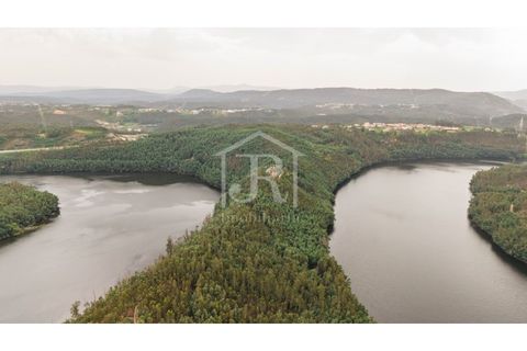 Farm i Penacova, Coimbra, Penacova - € 1.650.000 | Ref: JR229/26 - foto 7