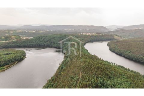 Farm i Penacova, Coimbra, Penacova - € 1.650.000 | Ref: JR229/26 - foto 9