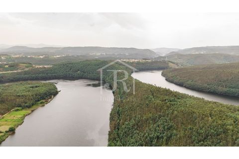 Farm i Penacova, Coimbra, Penacova - € 1.650.000 | Ref: JR229/26 - foto 10