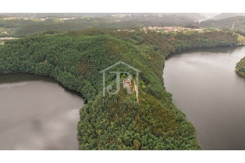 Farm i Penacova, Coimbra, Penacova - € 1.650.000 | Ref: JR229/26 - foto 11