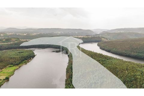 Farm i Penacova, Coimbra, Penacova - € 1.650.000 | Ref: JR229/26 - foto 12