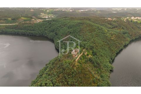 Farm i Penacova, Coimbra, Penacova - € 1.650.000 | Ref: JR229/26 - foto 13