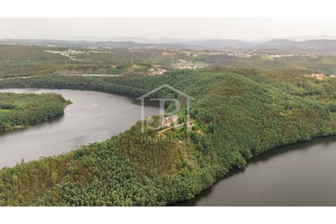 Farm i Penacova, Coimbra, Penacova - € 1.650.000 | Ref: JR229/26 - foto 14