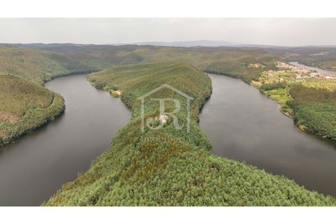 Farm i Penacova, Coimbra, Penacova - € 1.650.000 | Ref: JR229/26 - foto 17