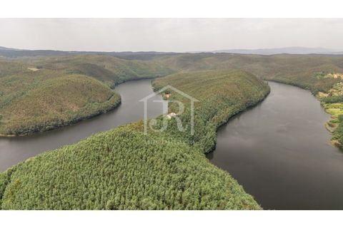 Farm i Penacova, Coimbra, Penacova - € 1.650.000 | Ref: JR229/26 - foto 18