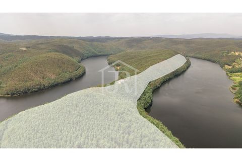 Farm i Penacova, Coimbra, Penacova - € 1.650.000 | Ref: JR229/26 - foto 19
