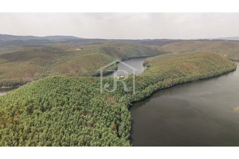 Farm i Penacova, Coimbra, Penacova - € 1.650.000 | Ref: JR229/26 - foto 20