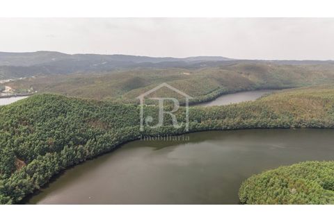 Farm i Penacova, Coimbra, Penacova - € 1.650.000 | Ref: JR229/26 - foto 21