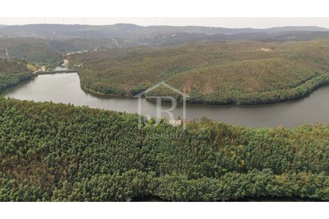 Farm i Penacova, Coimbra, Penacova - € 1.650.000 | Ref: JR229/26 - foto 22