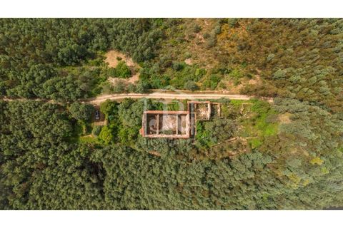 Farm i Penacova, Coimbra, Penacova - € 1.650.000 | Ref: JR229/26 - foto 23