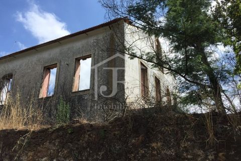 Farm i Penacova, Coimbra, Penacova - € 1.650.000 | Ref: JR229/26 - foto 24