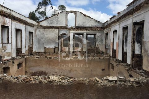 Farm i Penacova, Coimbra, Penacova - € 1.650.000 | Ref: JR229/26 - foto 26