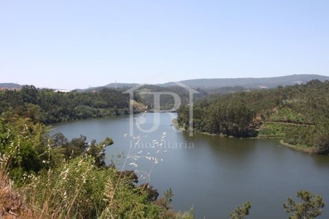Farm i Penacova, Coimbra, Penacova - € 1.650.000 | Ref: JR229/26 - foto 27