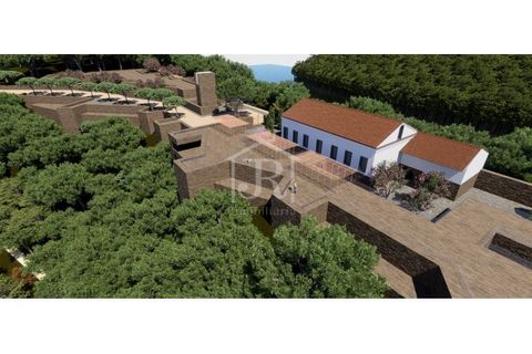 Farm i Penacova, Coimbra, Penacova - € 1.650.000 | Ref: JR229/26 - foto 33