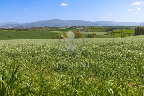 Landejendom i Cortona, Arezzo, Cortona - € 990.000 | Ref: 462 - foto 46