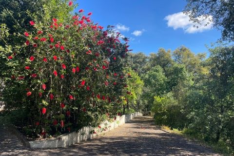 Landejendom i Maiorga, Leiria, Maiorga - € 1.350.000 | Ref: 466WCP - foto 20