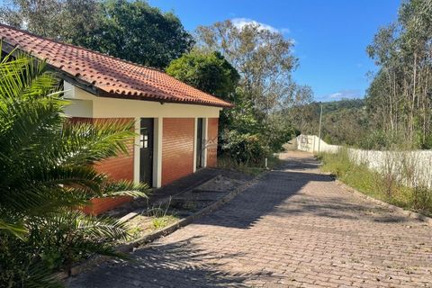 Landejendom i Maiorga, Leiria, Maiorga - € 1.350.000 | Ref: 466WCP - foto 21