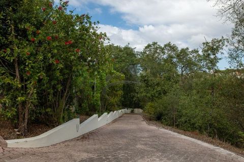 Landejendom i Maiorga, Leiria, Maiorga - € 1.350.000 | Ref: 466WCP - foto 33