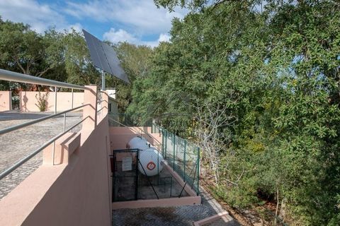 Landejendom i Maiorga, Leiria, Maiorga - € 1.350.000 | Ref: 466WCP - foto 34