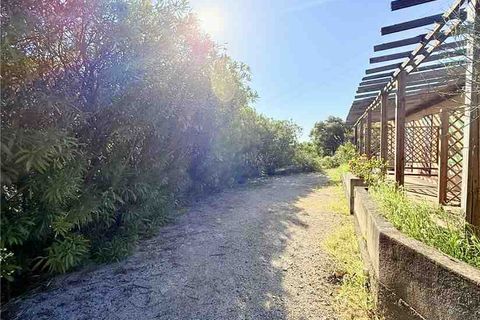 Villa i Campo Nell'Elba, Livorno, Campo Nell'Elba - € 770.000 | Ref: 5195 - foto 4