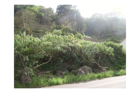 Terra a Fontinhas, Terceira, Fontinhas - € 51.400 | Ref: 7111 - foto 3