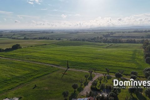 Landejendom i Capalbio, Grosseto, Capalbio - € 400.000 | Ref: v-274 - foto 4