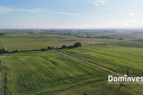 Landejendom i Capalbio, Grosseto, Capalbio - € 400.000 | Ref: v-274 - foto 5
