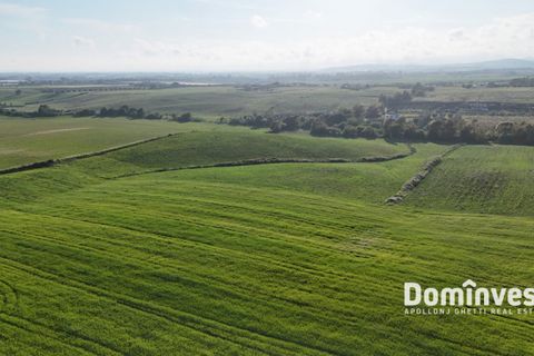Landejendom i Capalbio, Grosseto, Capalbio - € 400.000 | Ref: v-274 - foto 7