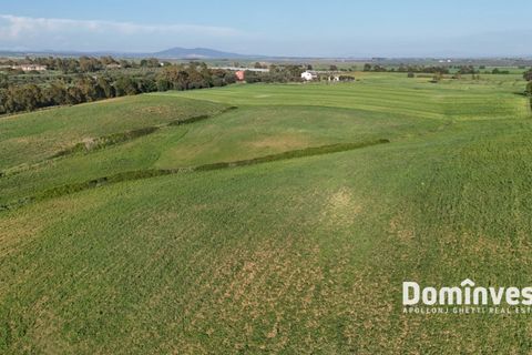 Landejendom i Capalbio, Grosseto, Capalbio - € 400.000 | Ref: v-274 - foto 8
