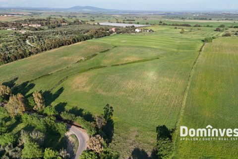 Landejendom i Capalbio, Grosseto, Capalbio - € 400.000 | Ref: v-274 - foto 9