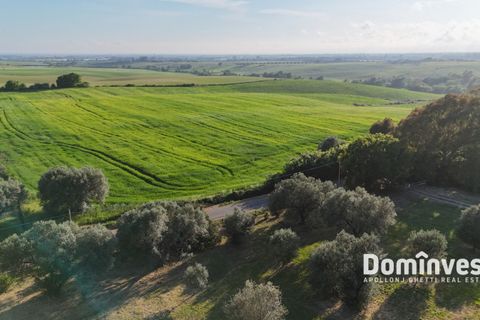 Landejendom i Capalbio, Grosseto, Capalbio - € 400.000 | Ref: v-274 - foto 10